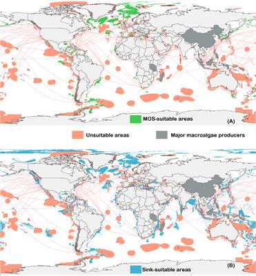 Global ocean spatial suitability for macroalgae offshore cultivation and sinking